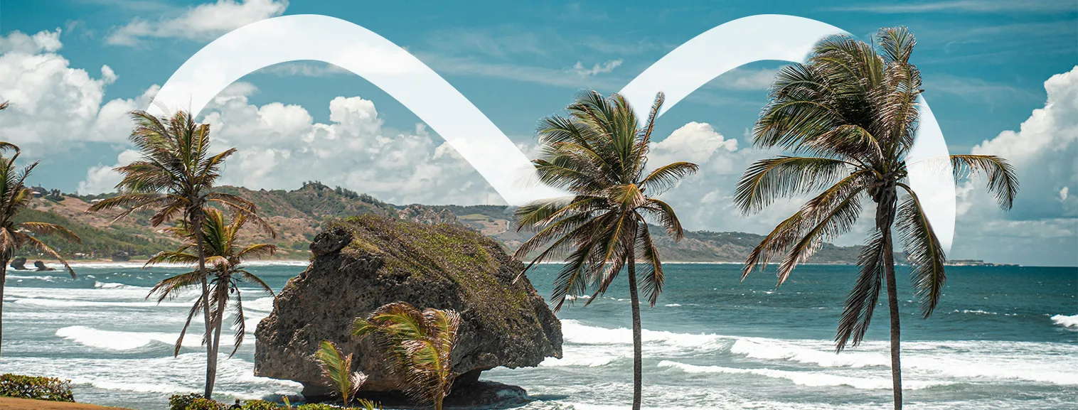 vaction banner
